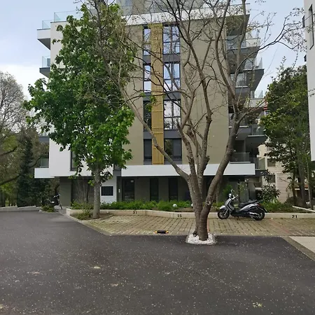 райзен Святые Константин и Елена